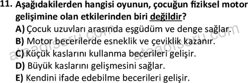 ata cocukgelisimonlisans 1483 11