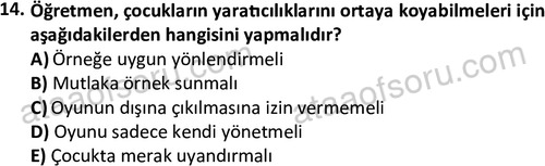 ata cocukgelisimonlisans 1483 14