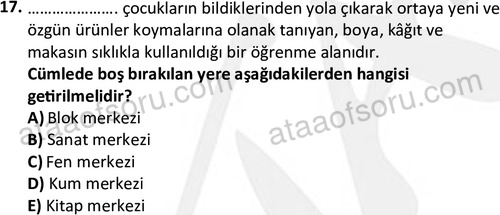 ata cocukgelisimonlisans 1483 17