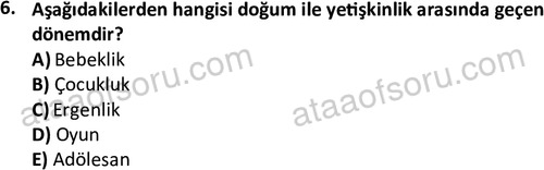 ata cocukgelisimonlisans 1483 6