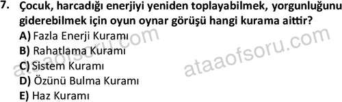 ata cocukgelisimonlisans 1483 7