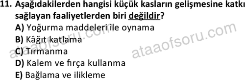 ata cocukgelisimonlisans 1483 11