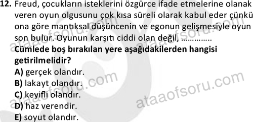 ata cocukgelisimonlisans 1483 12