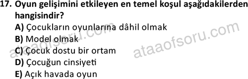 ata cocukgelisimonlisans 1483 17