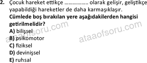 ata cocukgelisimonlisans 1483 2