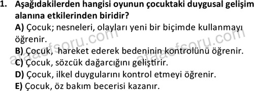 ata cocukgelisimonlisans 1483 1