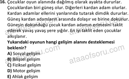 ata cocukgelisimonlisans 1483 16