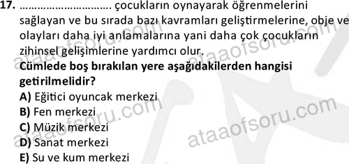 ata cocukgelisimonlisans 1483 17