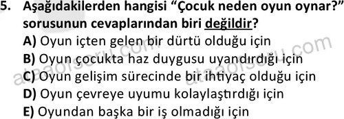 ata cocukgelisimonlisans 1483 5