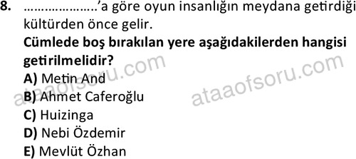 ata cocukgelisimonlisans 1483 8