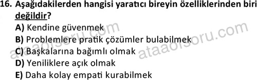 ata cocukgelisimonlisans 1483 16