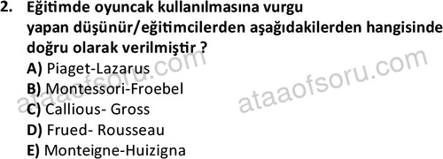 ata cocukgelisimonlisans 1483 2