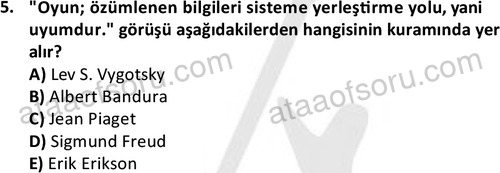 ata cocukgelisimonlisans 1483 5