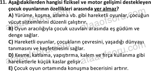 ata cocukgelisimonlisans 1483 11