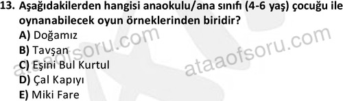 ata cocukgelisimonlisans 1483 13