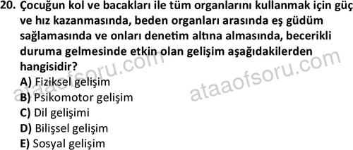 ata cocukgelisimonlisans 1483 20