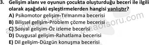 ata cocukgelisimonlisans 1483 3