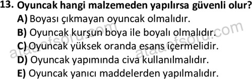 ata cocukgelisimonlisans 1484 13