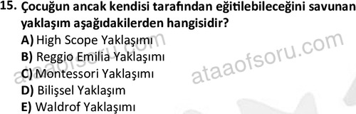 ata cocukgelisimonlisans 1484 15
