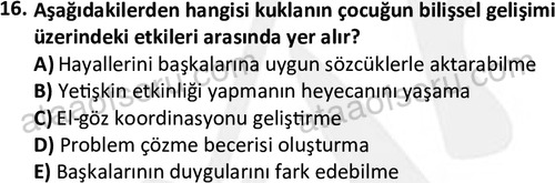 ata cocukgelisimonlisans 1484 16