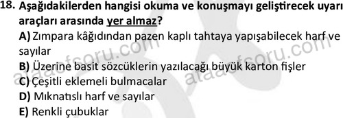 ata cocukgelisimonlisans 1484 18