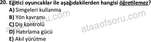 ata cocukgelisimonlisans 1484 20