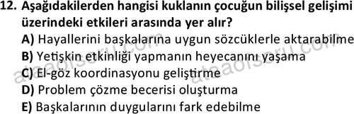 ata cocukgelisimonlisans 1484 12