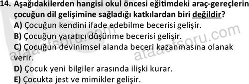 ata cocukgelisimonlisans 1484 14