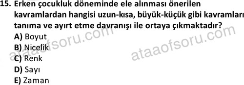 ata cocukgelisimonlisans 1484 15