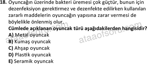 ata cocukgelisimonlisans 1484 18
