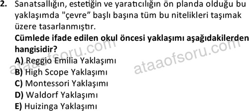 ata cocukgelisimonlisans 1484 2