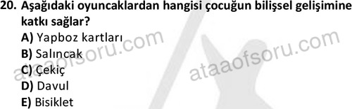 ata cocukgelisimonlisans 1484 20