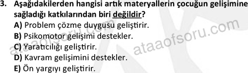 ata cocukgelisimonlisans 1484 3