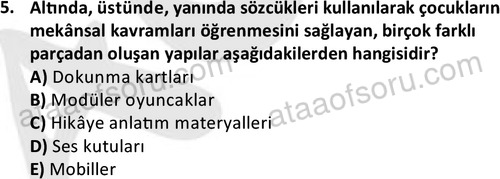 ata cocukgelisimonlisans 1484 5