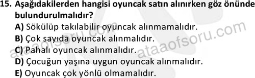 ata cocukgelisimonlisans 1484 15