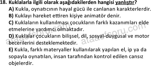 ata cocukgelisimonlisans 1484 18