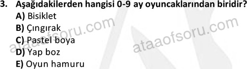 ata cocukgelisimonlisans 1484 3