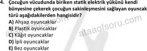 ata cocukgelisimonlisans 1484 4