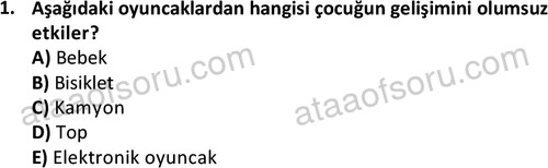 ata cocukgelisimonlisans 1484 1
