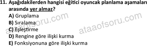 ata cocukgelisimonlisans 1484 11