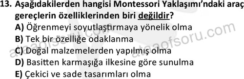 ata cocukgelisimonlisans 1484 13