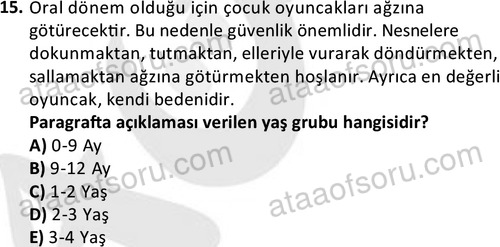ata cocukgelisimonlisans 1484 15