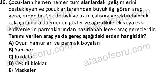 ata cocukgelisimonlisans 1484 16