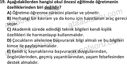 ata cocukgelisimonlisans 1484 19