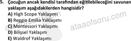 ata cocukgelisimonlisans 1484 5