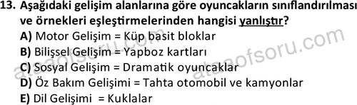 ata cocukgelisimonlisans 1484 13