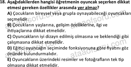 ata cocukgelisimonlisans 1484 18