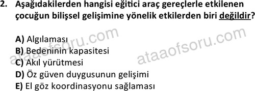 ata cocukgelisimonlisans 1484 2