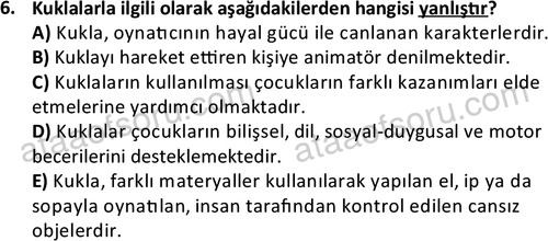 ata cocukgelisimonlisans 1484 6