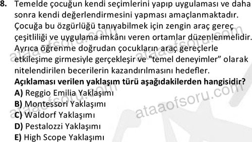 ata cocukgelisimonlisans 1484 8